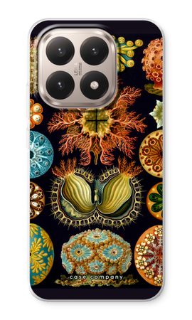 Haeckel Ascidiae