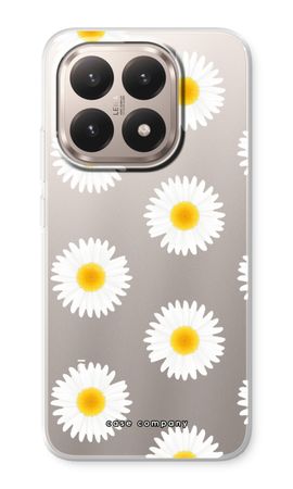 Daisies
