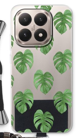 Monstera leaves