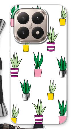 Sanseveria