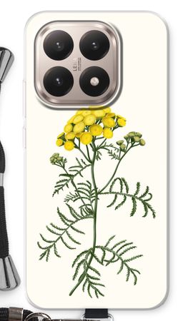 Tansy