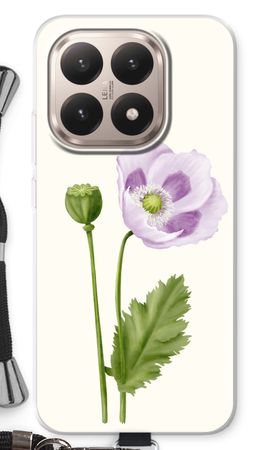 Purple poppy