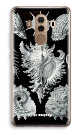 Haeckel Prosobranchia