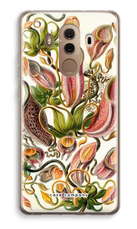 Haeckel Nepenthaceae