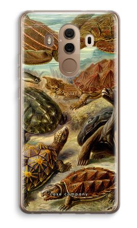 Haeckel Chelonia