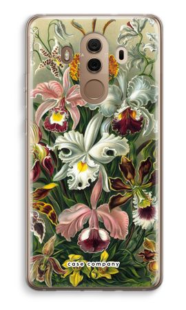 Haeckel Orchidae