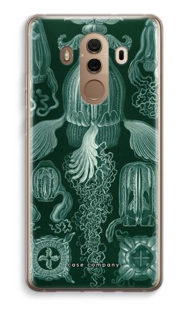 Haeckel Cubomedusae