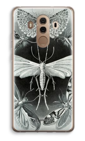 Haeckel Tineida