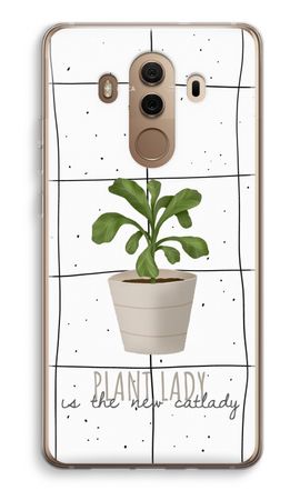 Houseplant on windowpane