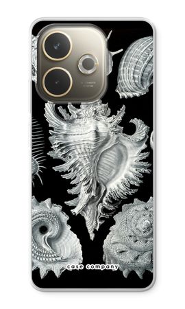 Haeckel Prosobranchia