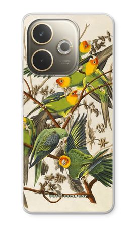 Carolina Parrot