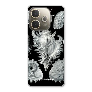 Haeckel Prosobranchia