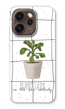 Houseplant on windowpane