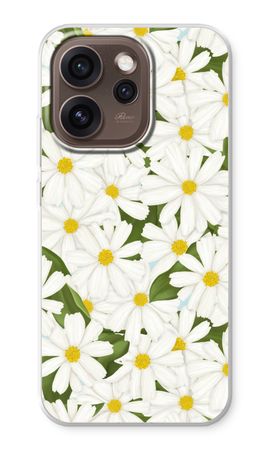 Summer Daisies