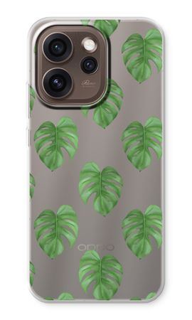 Monstera leaves