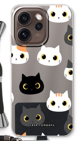 Cats