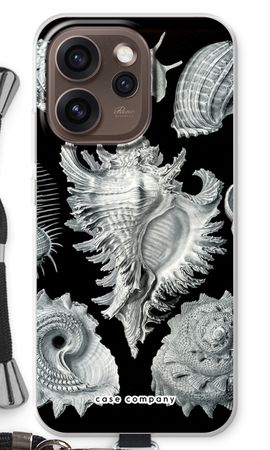 Haeckel Prosobranchia