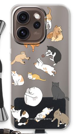 Cats