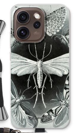 Haeckel Tineida