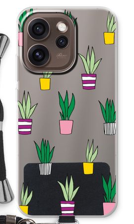 Sanseveria