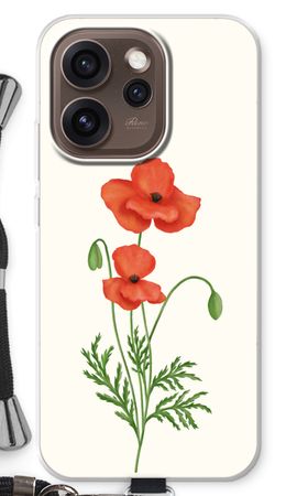 Red poppy