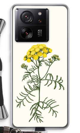 Tansy