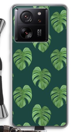 Monstera leaves