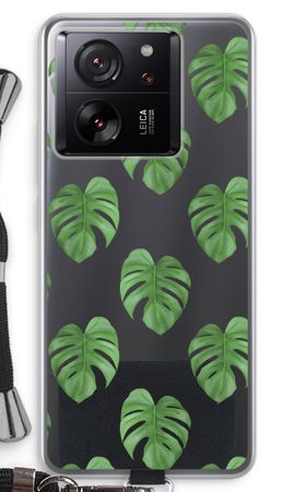 Monstera leaves