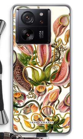 Haeckel Nepenthaceae