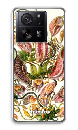 Haeckel Nepenthaceae