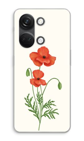 Red poppy