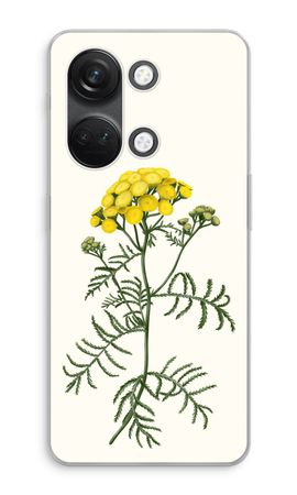Tansy