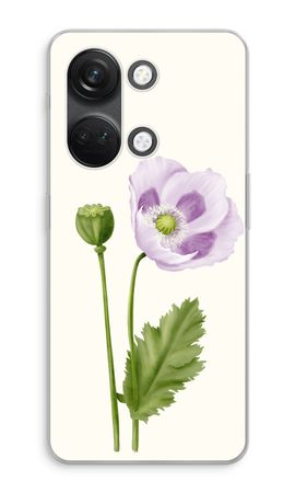 Purple poppy