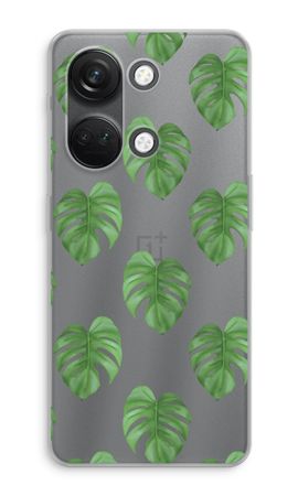 Monstera leaves