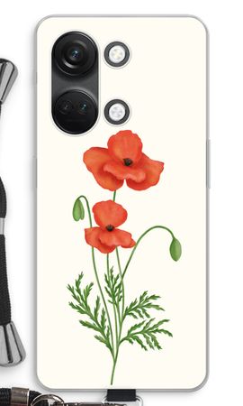 Red poppy