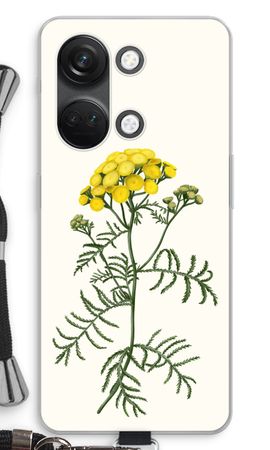 Tansy