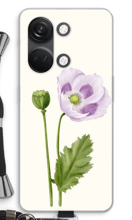 Purple poppy
