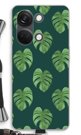 Monstera leaves