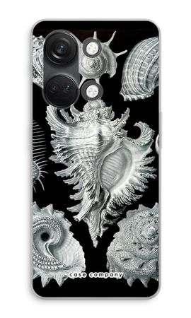 Haeckel Prosobranchia