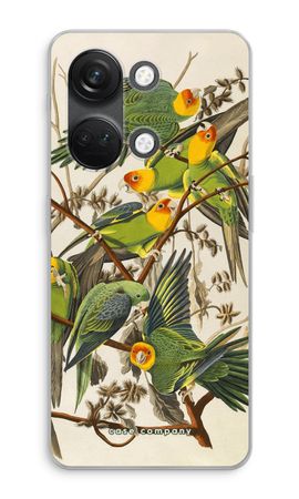 Carolina Parrot