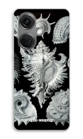 Haeckel Prosobranchia