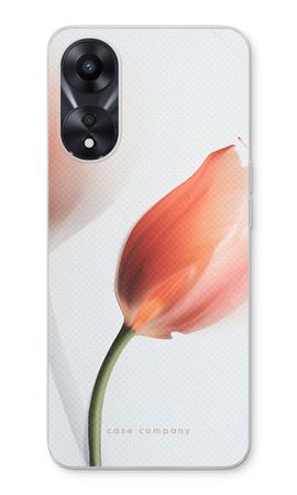 Tulip