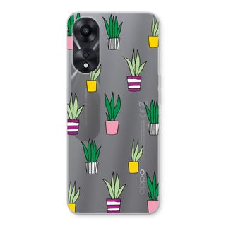 Sanseveria