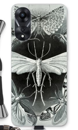 Haeckel Tineida
