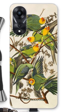 Carolina Parrot