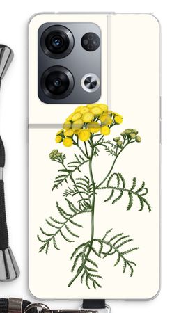 Tansy