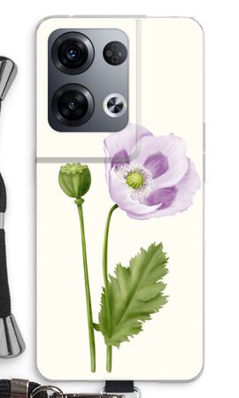 Purple poppy