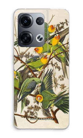 Carolina Parrot
