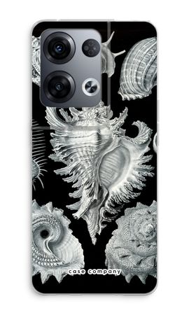 Haeckel Prosobranchia