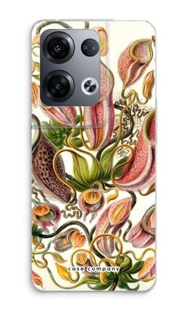 Haeckel Nepenthaceae